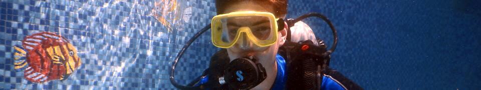 header-schnuppertaucher