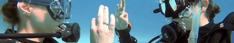 header-scuba-diver-768x144