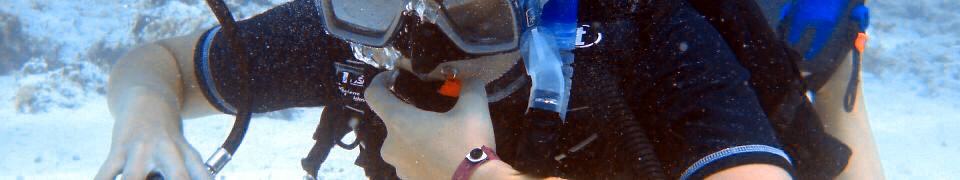 header-upgrade-scuba-diver-zu-open-water-diver